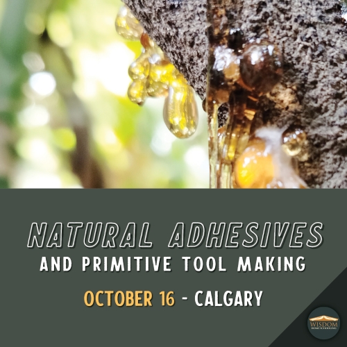 Survival: Natural Adhesives and Primitive Tool Making - Calgary 